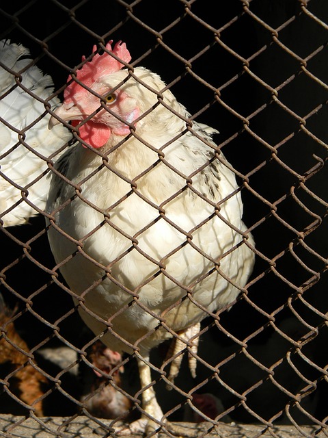 有几位非常 有几位非常