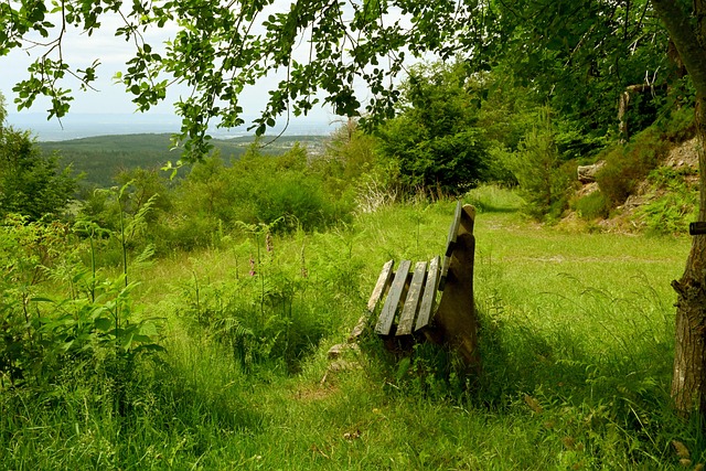 实力较弱的 实力较弱的