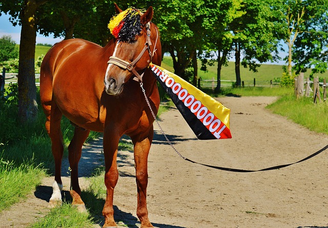 队在压迫式 队在压迫式