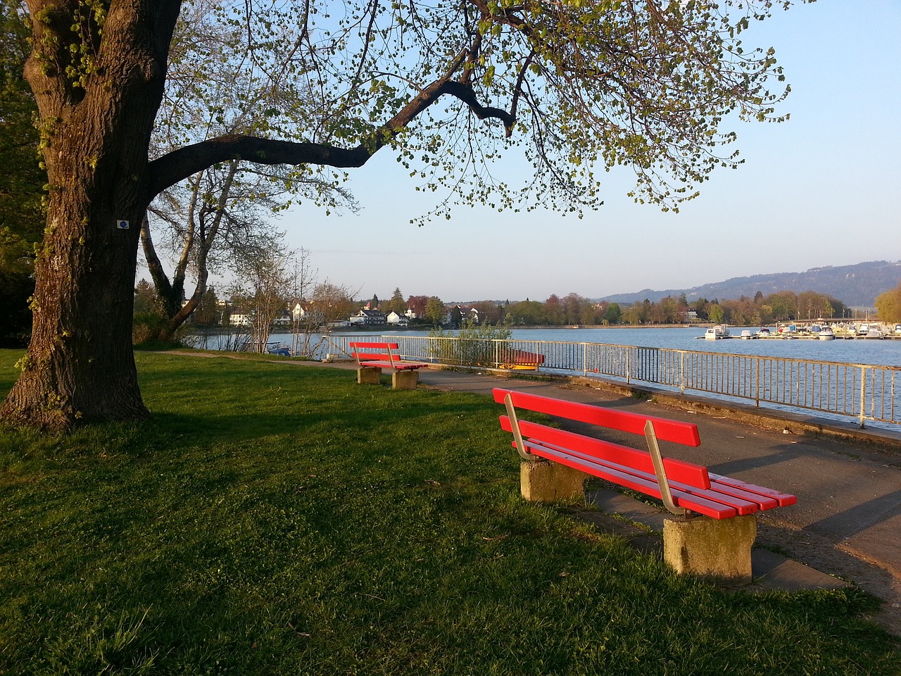队重回胜利 队重回胜利