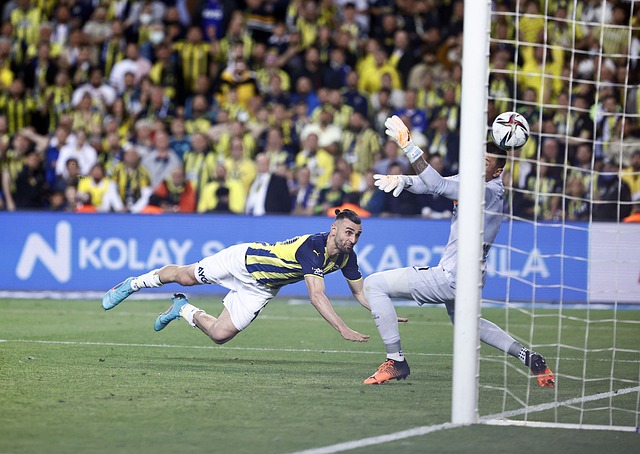 而巨额的球 而巨额的球