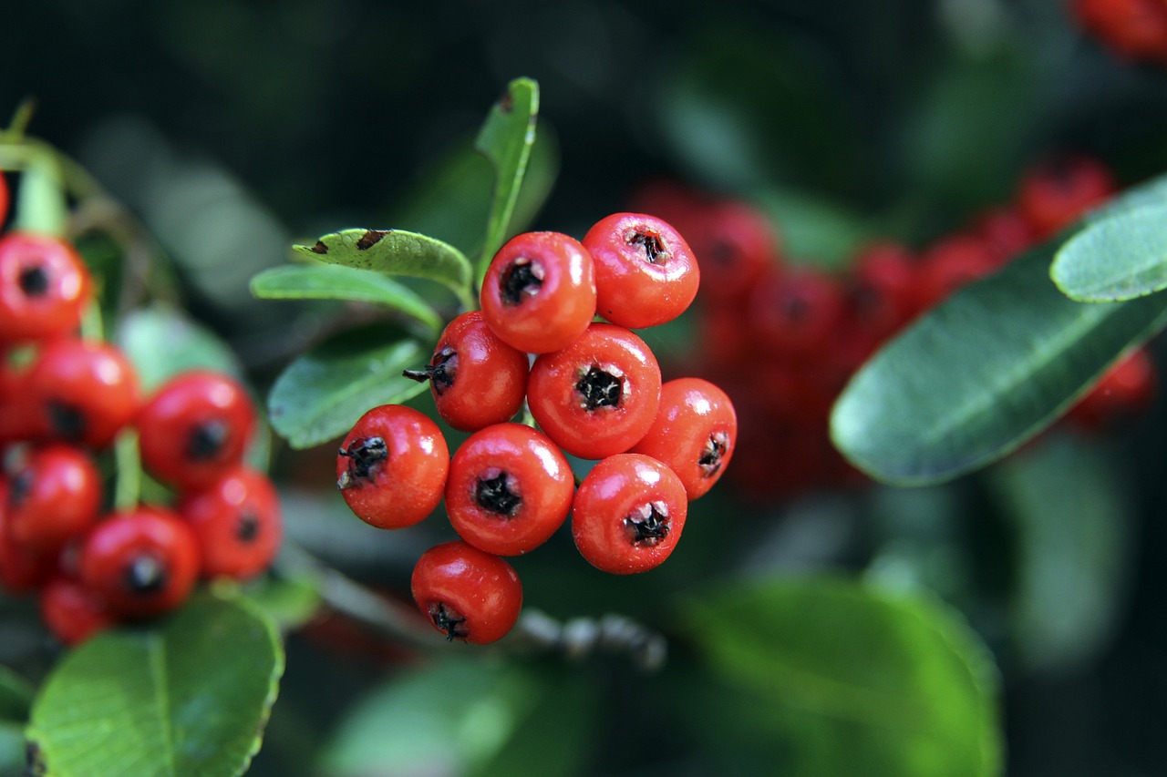 强度的比赛 强度的比赛