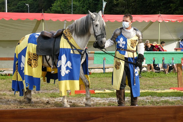 皇家社会主 皇家社会主